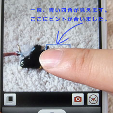 iPhoneのカメラアプリでピントを合わせた瞬間